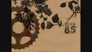 Roses and Bluejays - Buck 65