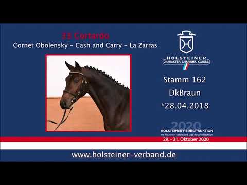 Cornet´s Caruso von Cornet Obolensky - Cash and Carry