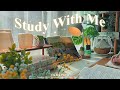 3 HOUR Study With Me Rain Sounds Lofi Bgm Pomodoro 50 10 Day297