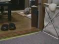 Bunnyふじこ 2007 4 10