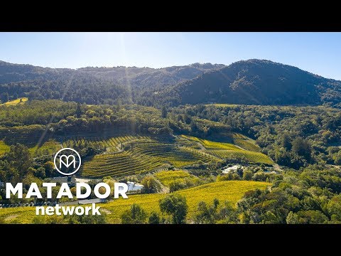 Explore Sonoma County On a Bike Ride Through the Vineyards