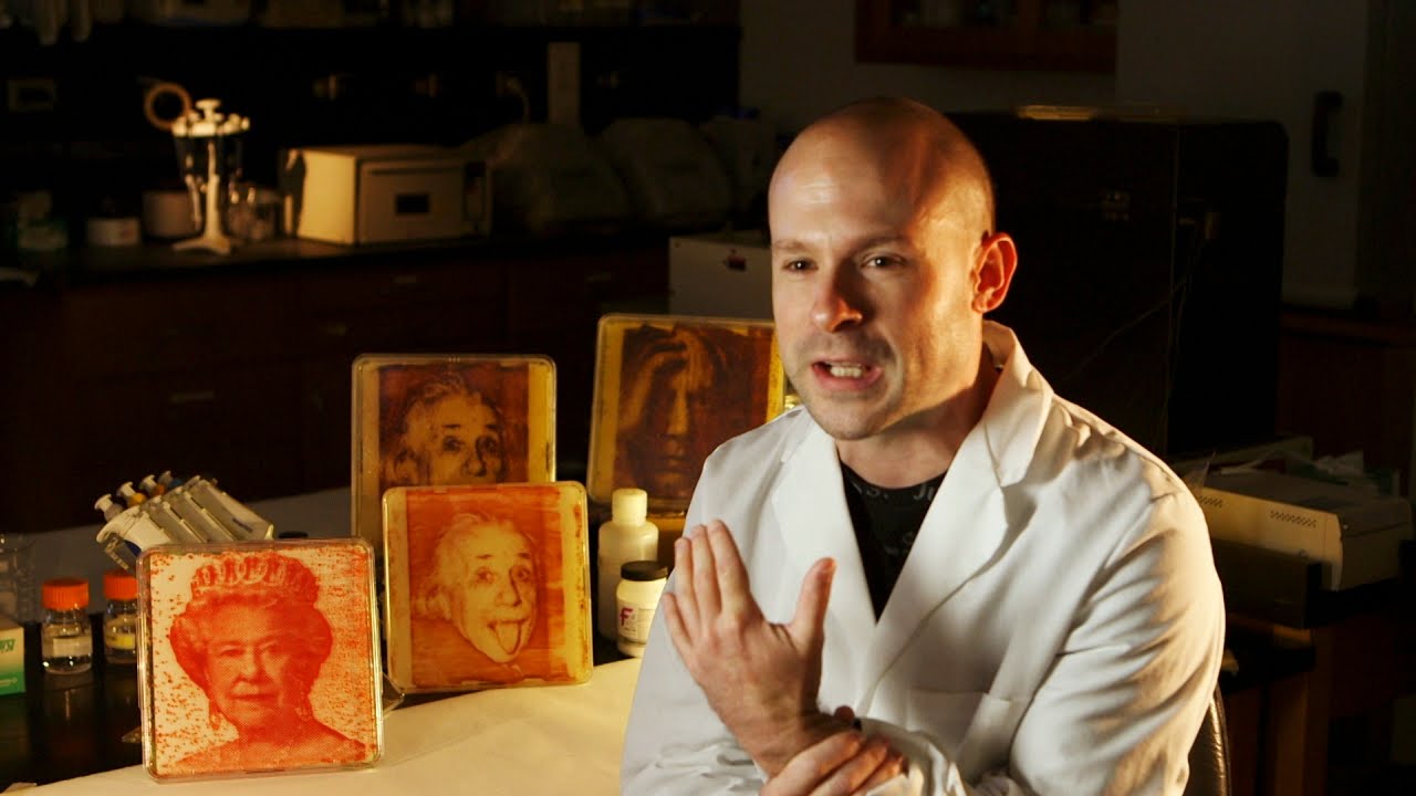 Making Art with Microbes