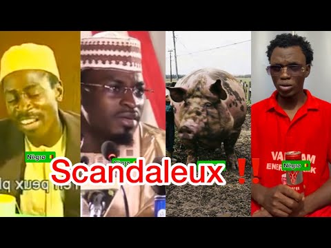 NEGRO BOYS_-_ bonne fête de Noël (DGP et SEKO chez Didier OUATTARA) ça s’est très mal passé 😂