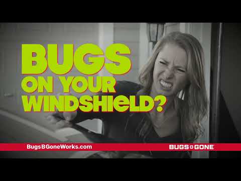 Remove dried-on bugs and crud with Bugs B Gone car & truck wash pre-soak
