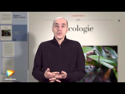 comment construire un glossaire