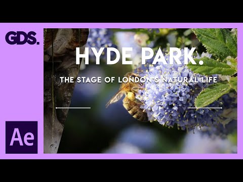 The Complete Beginner s Guide To Adobe After Effects