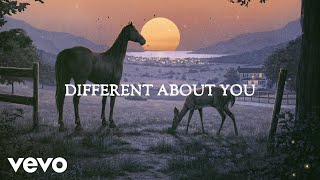 Old Dominion - Different About You (Official Lyric Video)