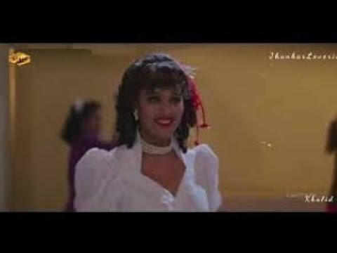 Chehra Kahe Dil Ki Baate (Sonic Jhankar) HD - Hum Hain Premi | Kumar Sanu & Alka Yagnik