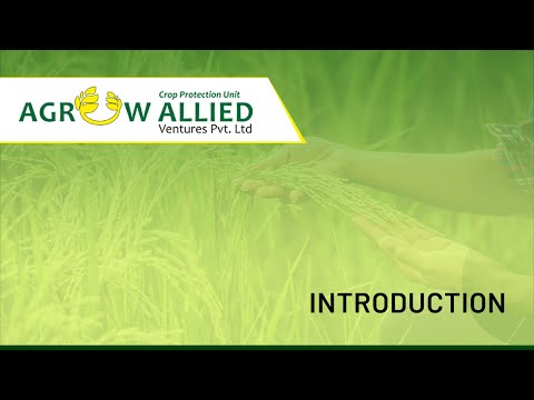 Introduction of Agrow Allied Ventures