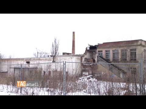 Aus Aktivist-Gelände wird Grünfläche