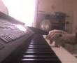 elo, ticket, to, the, moon, piano, rmx 