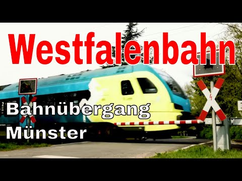 Bahnübergang Münster Sprakel - Westfalenbahn fährt Richtung Münster Hbf
