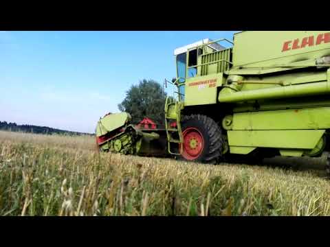☆Żniwa 2018☆Claas Dominator 85//Ursus c-330☆