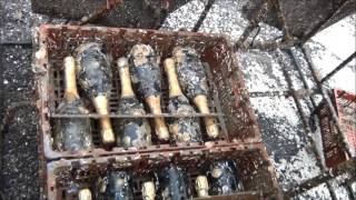 ENTRE TERRE ET MER # SEA BOTTLES RETURN