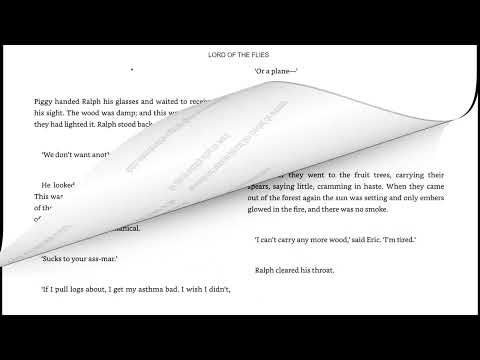 Lord of the Flies Chapter 10