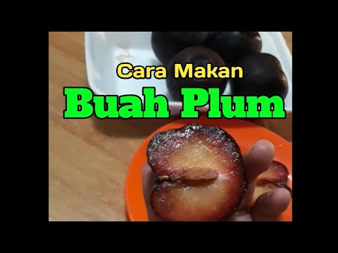 Gel pelangsing ekspres Latihan yang efektif dalam menurunkan berat badan di perut