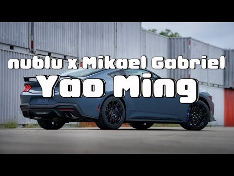 nublu x Mikael Gabriel - Yao Ming [bass boost]