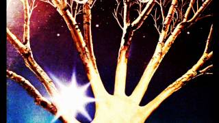 STARWOOD - Almost Monte Carlo