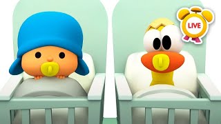 🔴 LIVE - POCOYO in ENGLISH - Babies | Full Episodes | VIDEOS and CARTOONS for KIDS