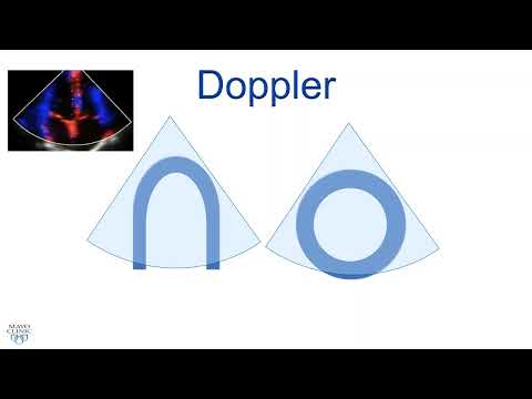 ASE 2021 Tissue Doppler and Strain Imaging