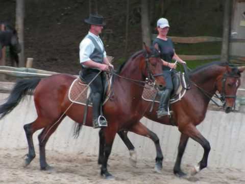 Nőtincs Kalandpark Lovasnap