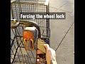 Shopping cart hacking #hacktheplanet