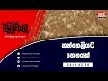 balumgala-08-02-2019