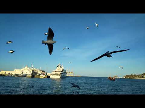 The Best Beaches to Visit in Oman