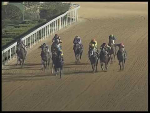 2017-03-03 Macau Meeting Race 4(0174) - THE RECIFE