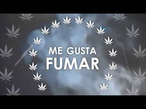 SINDRO - PERDONAME POR SER ASI (VIDEO LYRIC)