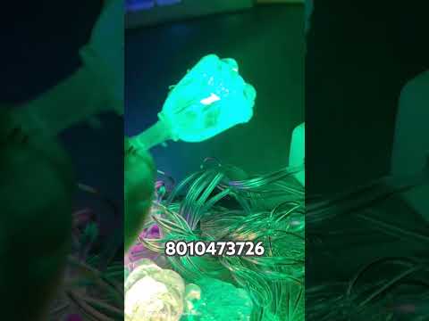LED light