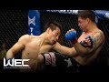 Free Fight: Leonard Garcia vs Korean Zombie 1 | WEC, 2010