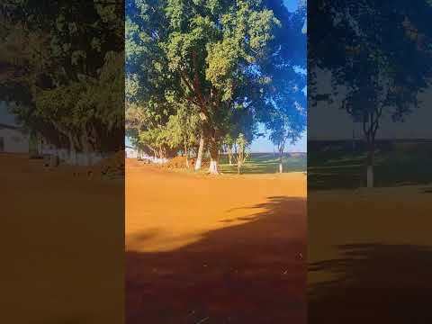 Distrito de Água da Prata, Brasnorte-MT