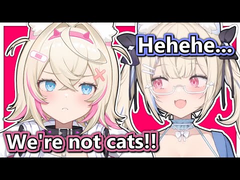 Fuwamoco Reminds You They're NOT Cats, For Some Reason Fuwamoco Reminds You They're NOT Cats, For Some Reason