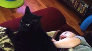 Zuki & Dolemite watching Groovie Goolies.