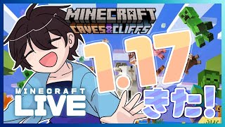 【Minecraft】1.17を自由に遊ぶ！【TeamMSMR】