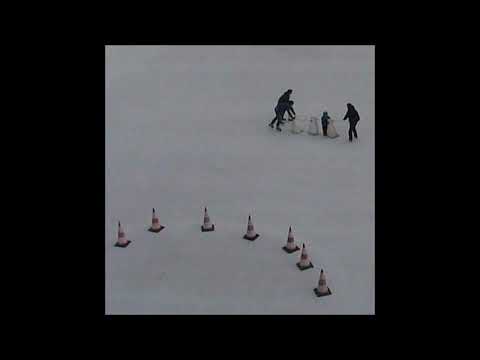 09. Arthrn - used to spleen [23.04.2016]