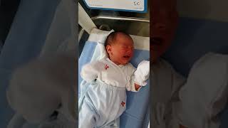 Download lagu Newborn Baby Crying | Bayi baru lahir menangis mp3