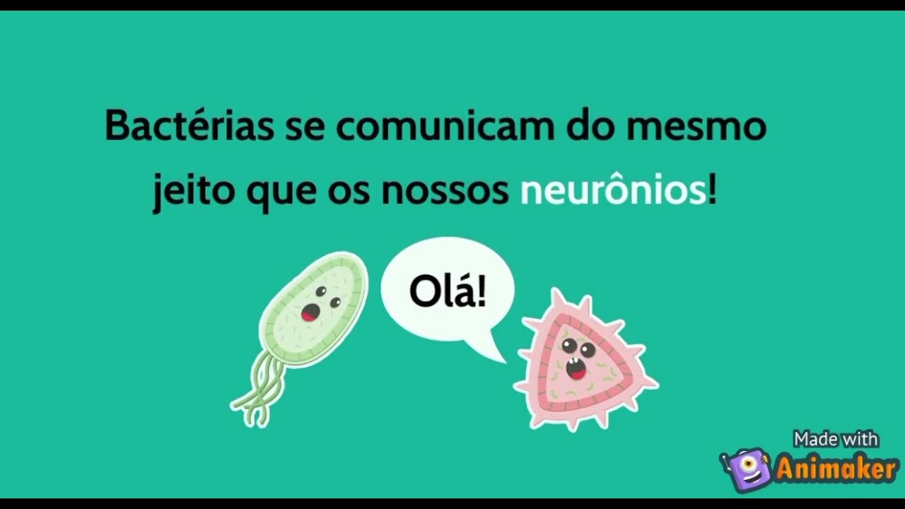 Bactérias se comunicam da mesma forma que os neurônios do seu cérebro!