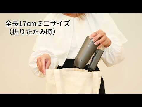 マイナスイオンミニドライヤー VENUSiS（ヴィナシス） グレー