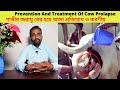 Prevention And Treatment Of Cow Prolapse