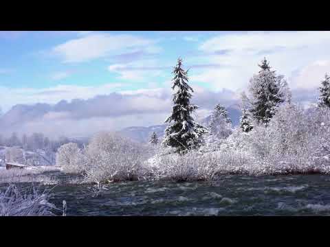 Cheile Jietului   Petrila . Ianuarie 2023 .