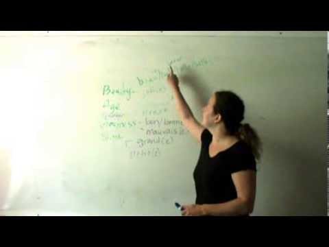 Adjectives: BAGS; Beau, Nouveau, Vieux in French