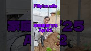 フィリピン妻ナス栽培！シニガン作りたいだけ【フィリピン妻の家庭菜園】
