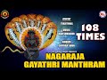 NAGARAJA GAYATHRI MANTHRAM | 108 TIMES | GAYATHRI MANTHRAM | HINDU DEVOTIONAL SONGS | HINDUISM INDIA