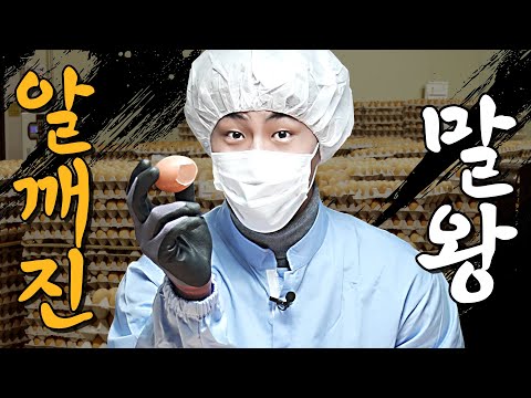 계란을 깨고 또 깨는 말왕..🐴 결국 주인님에게 깨지게 되는데..｜[머슴아 말왕] EP.04