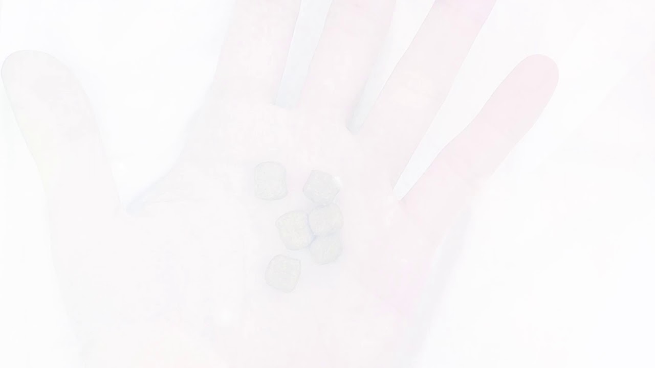 royal canin poodle adult dry dog food