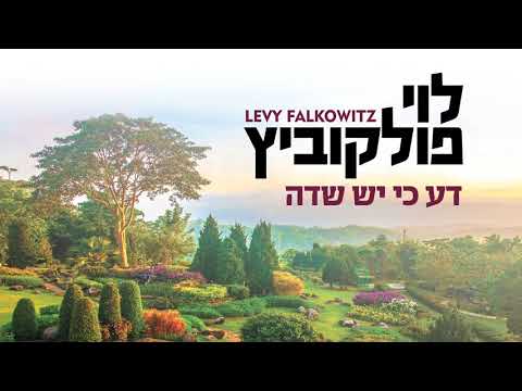 Da - Levy Falkowitz | דע - לוי פלקוביץ (Achake Loi • Track 11)