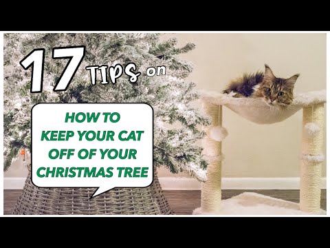 17 Tips on How to Keep Your Cat Off of Your Christmas Tree | CATMAS DAY 22