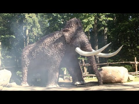 Музей-стоянку первобытного человека открыли в Юровичах видео